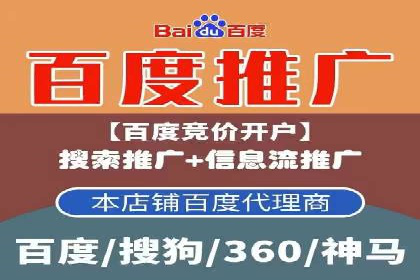 优化SEM广告投放：成功案例分享